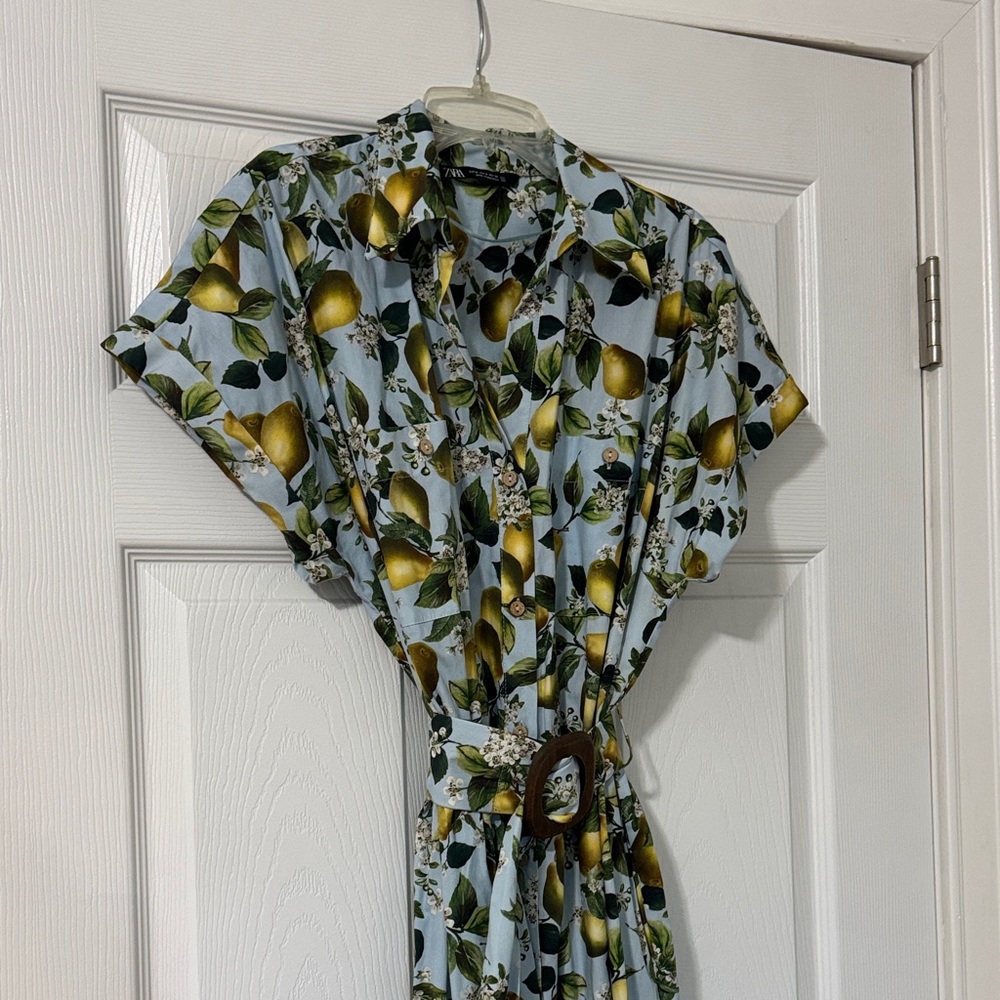 Zara Lemon Print Dress - Green and Yellow